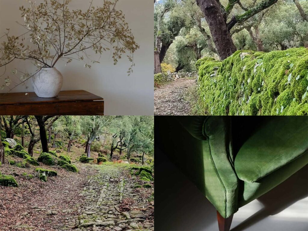 Wabi-Sabi na Sociedade Rural