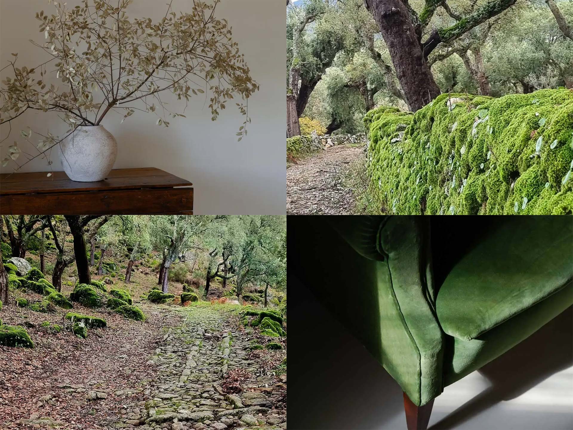 Wabi-Sabi na Sociedade Rural