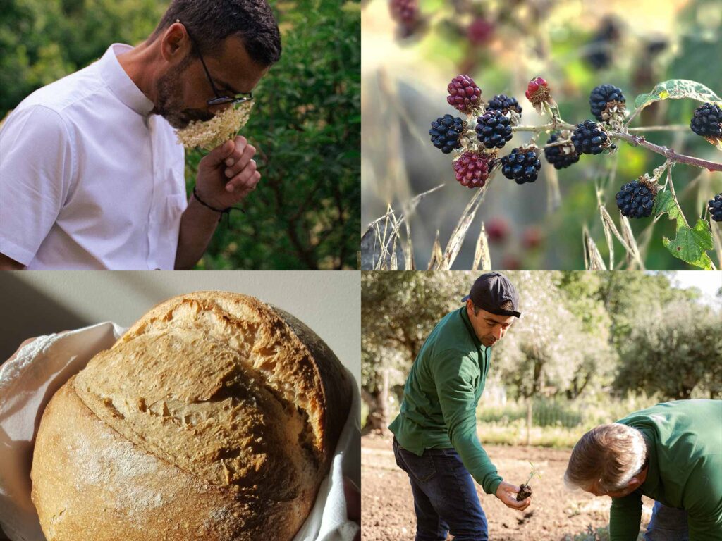 O sabor deste lugar